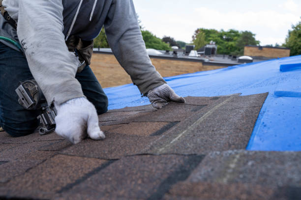 Best Residential Roofing Contractor  in Ellisburg, NJ