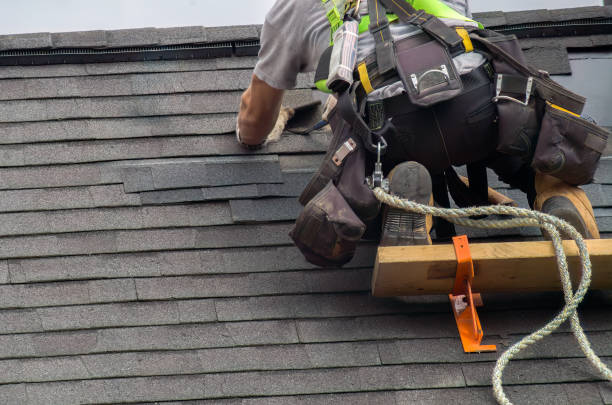 Best Storm Damage Roof Repair  in Ellisburg, NJ
